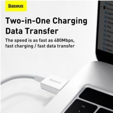 BASEUS CATYS-A02 Καλώδιο USB σε USB-C (66W) (2m) (Λευκό)